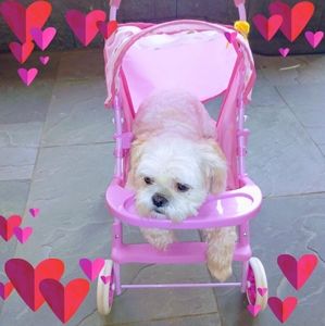 Meet your Posher, Linda